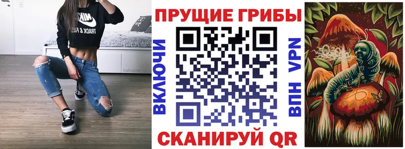 MEGA ONION  Туймазы  Галлюциногенные грибы мухоморы 